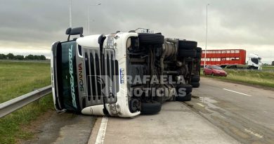 Volcó un camión jaula en la Autovía 19: vecinos intentan faenar los animales