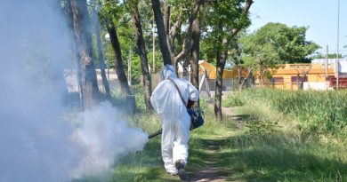 Prevención del dengue: se realizaron bloqueos masivos ante la detección de larvas del mosquito transmisor